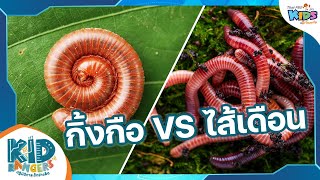 กิ้งกือ VS ไส้เดือน : Kid Rangers ปฏิบัติการเด็กช่างคิด