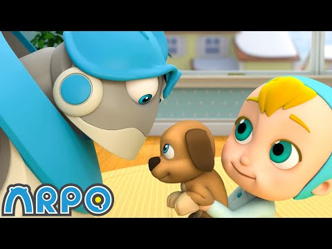 Köpek PANİĞİ!!! 🐕 | Robot ARPO 🤖 | Çocuk Çizgi Filmleri