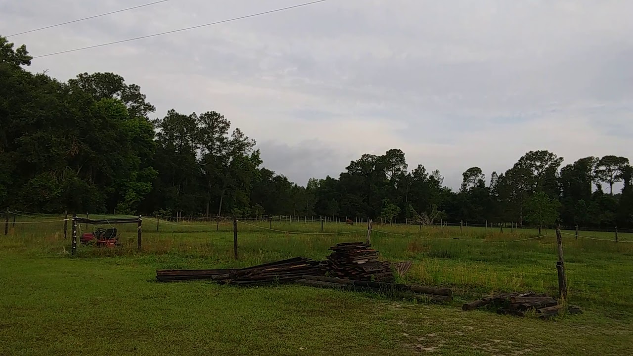 Charles & Astrid Hall Use Cam To Drive In Cattle On W. & N. Boundaries, May 18, 2018
