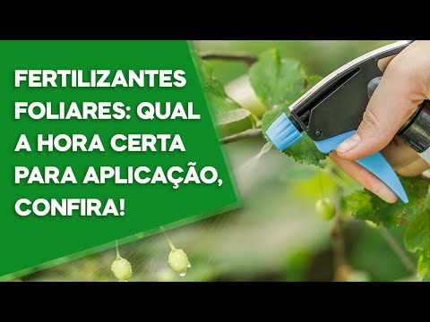 Vídeo: Enfeite De Uva: Fertilizantes Minerais E Outros. Como Fertilizar Na Primavera E Como Se Alimentar Em Novembro? Tratamentos Foliares