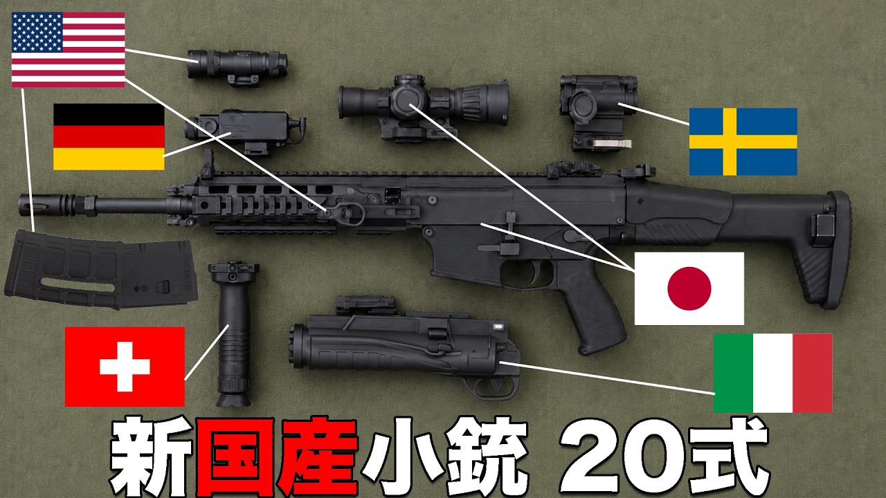 The New Type 20 Domestic Rifle: A 6-Year Status Update | A Former