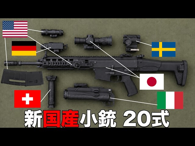 The New Type 20 Domestic Rifle: A 6-Year Status Update | A Former