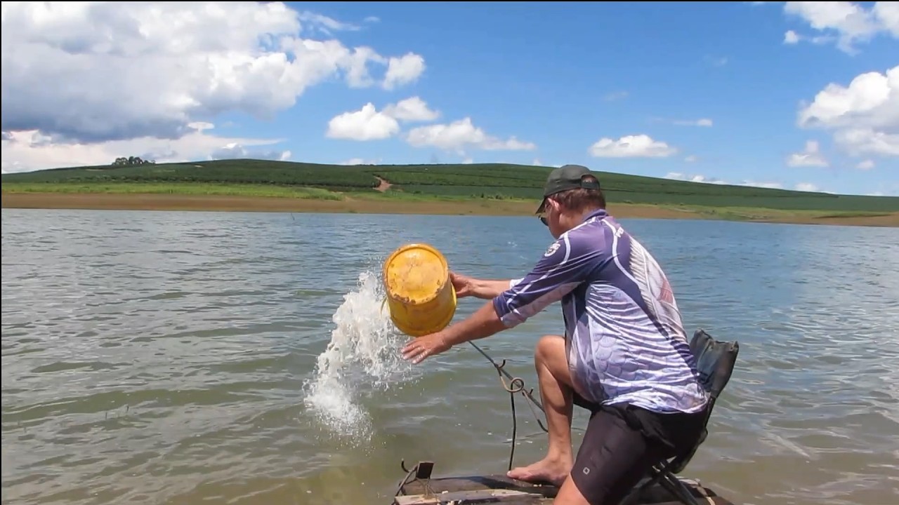 QDO A CEVA É BOA, AS TILÁPIAS ENCOSTAM