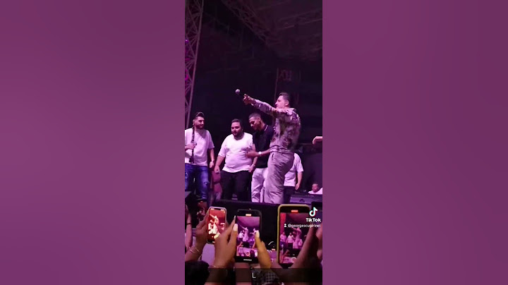 Bogdan DLP live