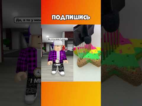 😱ОДНА ПОДПИСКА = 1 МИНУТА ДЛЯ МЕНЯ ! #roblox #роблокс #brookhaven