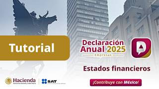 Tutorial Declaración Anual 2025 empresas - Estados financieros
