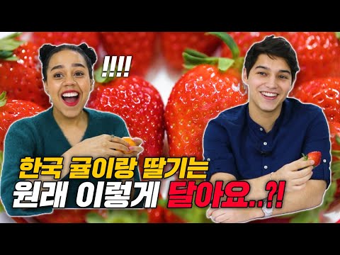 한국의 대표적인 겨울 과일(귤, 딸기, <strong>유자차</strong>)을 처음 먹어본 외국인들 반응?!!