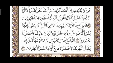 صفحة 10 من القرآن الكريم مكررة 10 مرات بصوت الشيخ فارس عباد