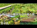 日本の原風景を求め、岐阜県の絶景水辺スポット4選を巡る旅