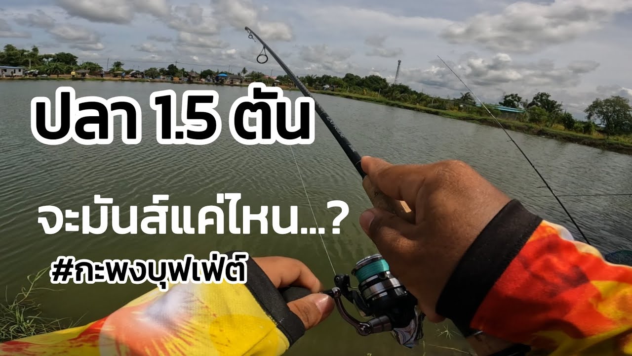 เป็นมือรอง ตกกะพงบุฟเฟ่ต์  ปลา1.5ตัน จะมันส์แค่ไหน...? | 22/07/2025