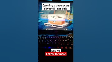 day 40 of opening a case every day until I get gold #cs2 #caseopening #gold #pepyt