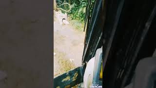 Excavator CAT 320D