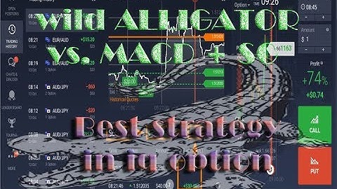 BINARY OPTION STRATEGY | wild alligator vs  MACD + SO Strategy in iq option