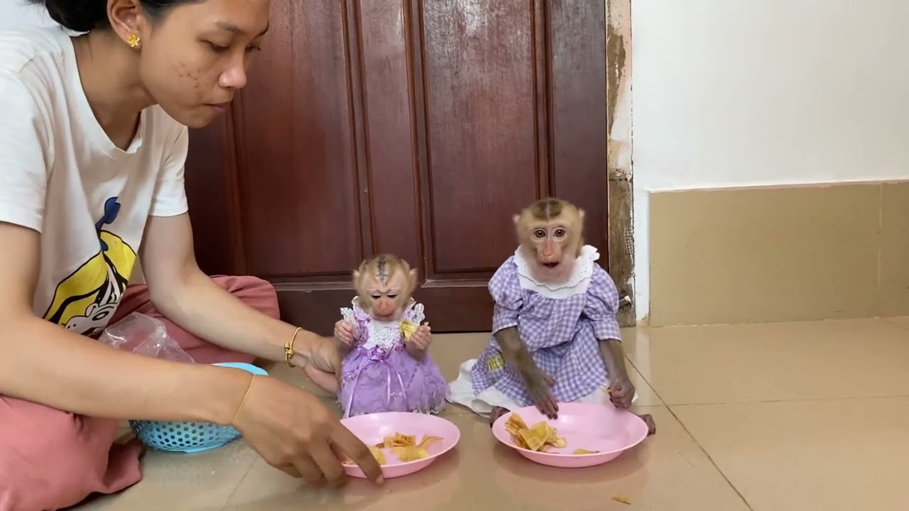 Nastty Jasmine No Place To Play Till All Stuck Falllinq From Her