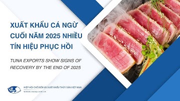 VASEP Highlight - T11/2025: Cá ngừ