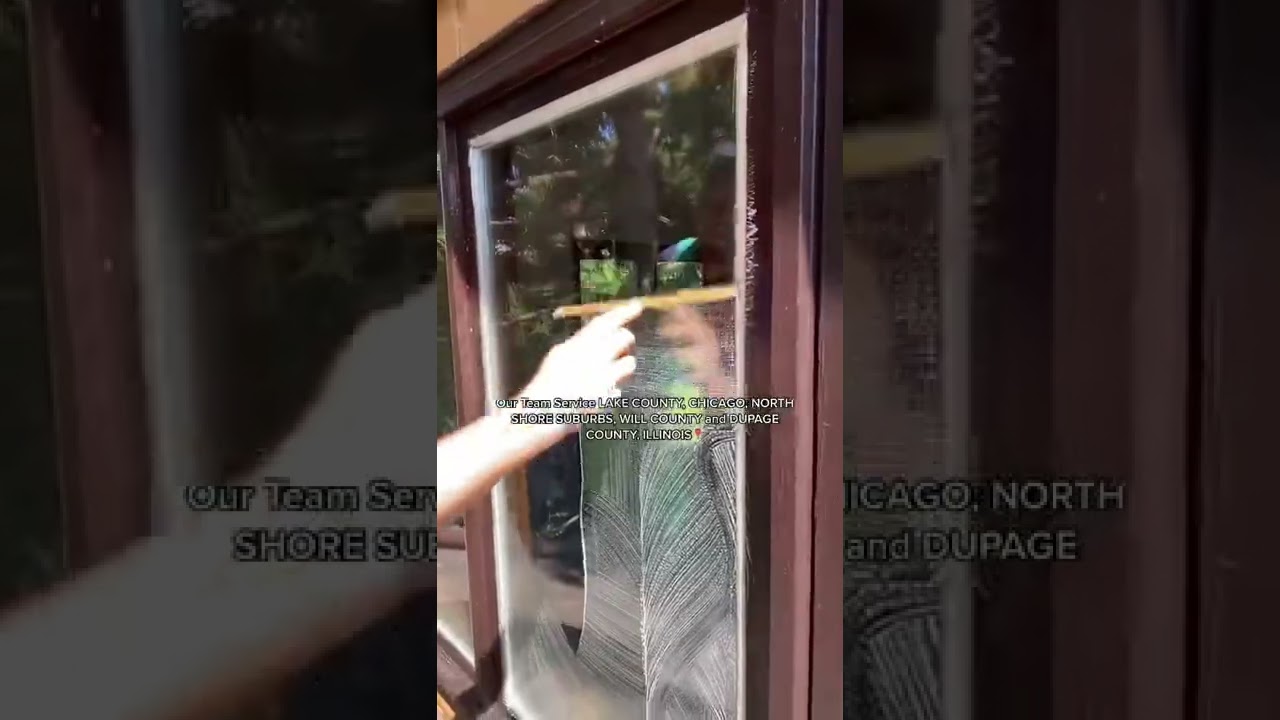 SATISFYING WINDOW CLEAN🤩🤩 My Window Washing in Northbrook, IL📍 