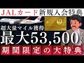 【結論】今JALカードに入らない理由が見つかりません|最新キャンペーン解説