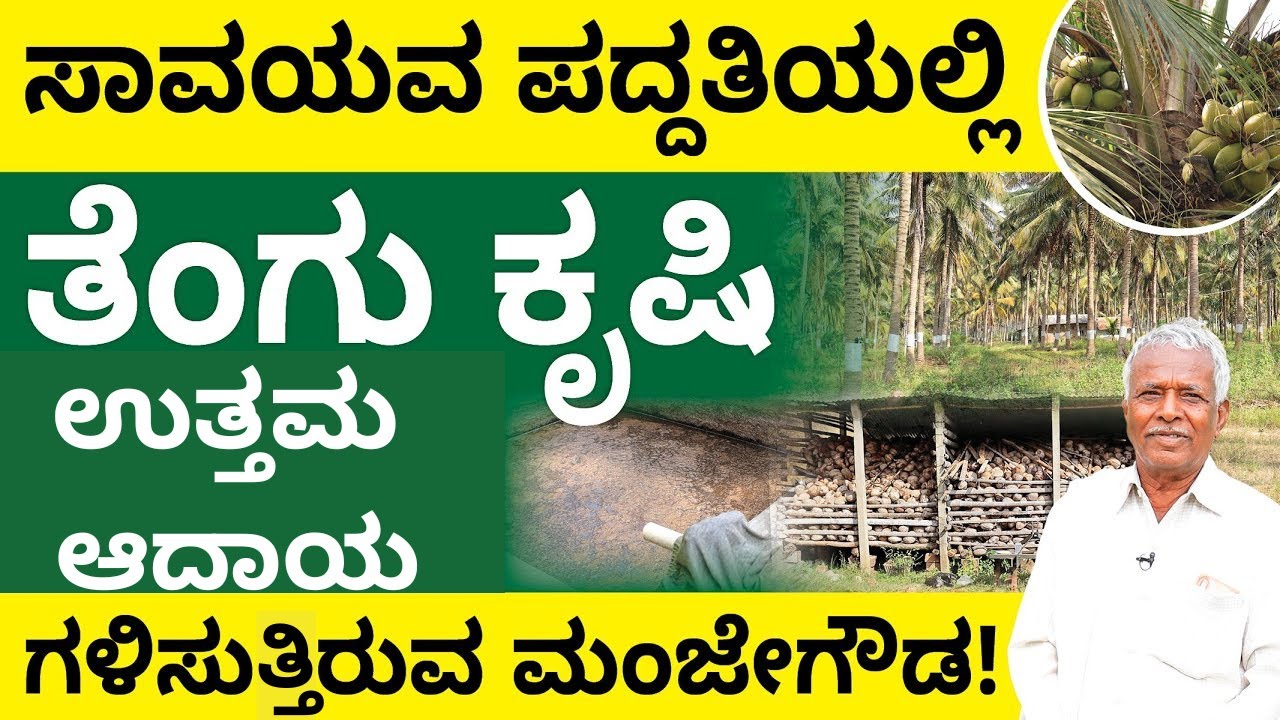 Organic Coconut Farming in Kannada - How to Grow Coconuts Organically? | Abhishek Ramappa