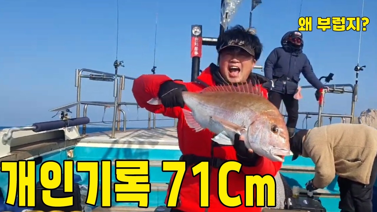 당장 출조하세요! 참돔 덩어리가 나오는곳! 실망없는장 출조하세요! 참돔 덩어리가 나오는곳! 실망없는 백도 덩어리 참돔 !!