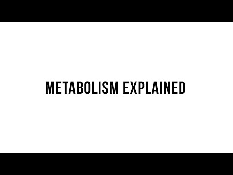 Keto 101 -  Metabolism Explained