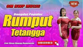 RUMPUT TETANGGA | OM. RWP MUSIC PALEMBANG | LIVE DESA UPANG BANYUASIN | DANGDUT POPULER 2023