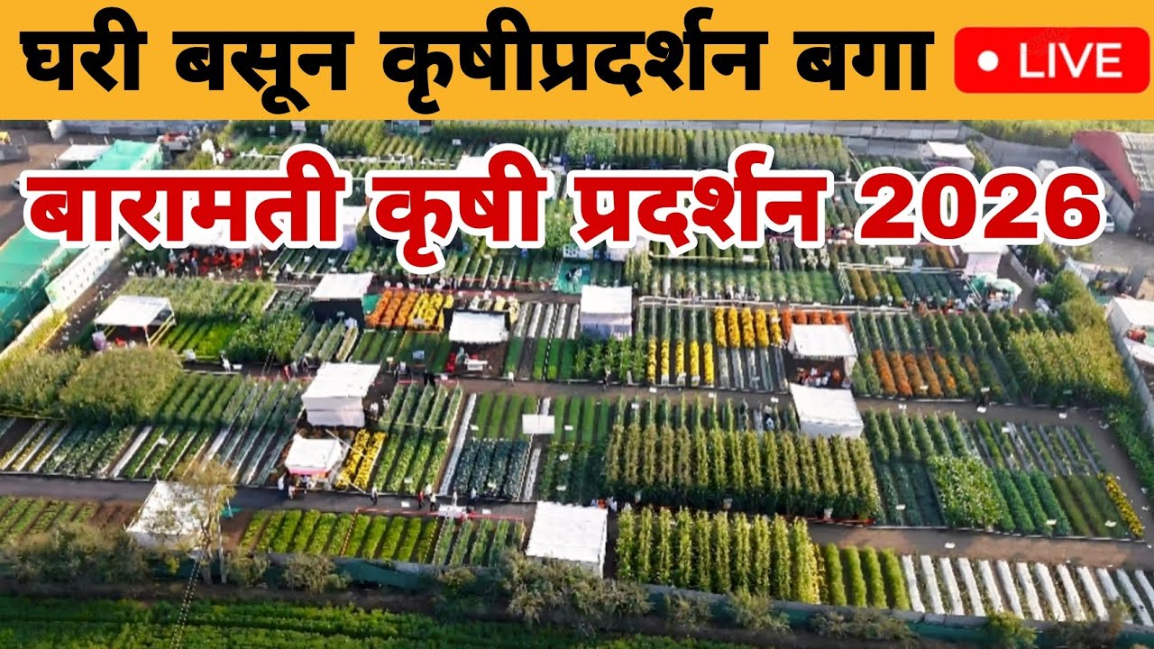 baramati krushi pradarshan 2026 | घरी बसून संपूर्ण कृषिदर्शन बघा लाईव्ह | krushik 2026 baramati