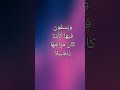 ويسقون فيها كأسا كان مزاجها زنجبيلا في أي سوره هذه الآية الكريمة 