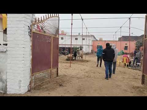 यहा पर लगेगा सबसे बड़ा टेन्ट लाईट का डिकोरेस