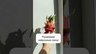 Чем бы еще развить нейронные связи, что посоветуете? #семейный #пробуемновое #драконийфрукт