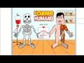 Diccionario. El Cuerpo Humano - Los Huesos y Musculos