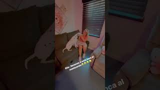 Enseñandole comunicacion a mi perra😂#viral #humor #enjoy #funny #dogs #love #momlife #comedy