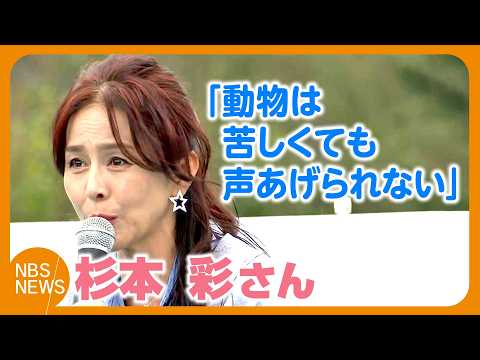 Aya Sugimoto: "Animals cannot speak up, no matter how much they suffer"—Reflecting on her mission...