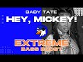 EXTREME BASS BOOST HEY MICKEY BABY TATE mp3