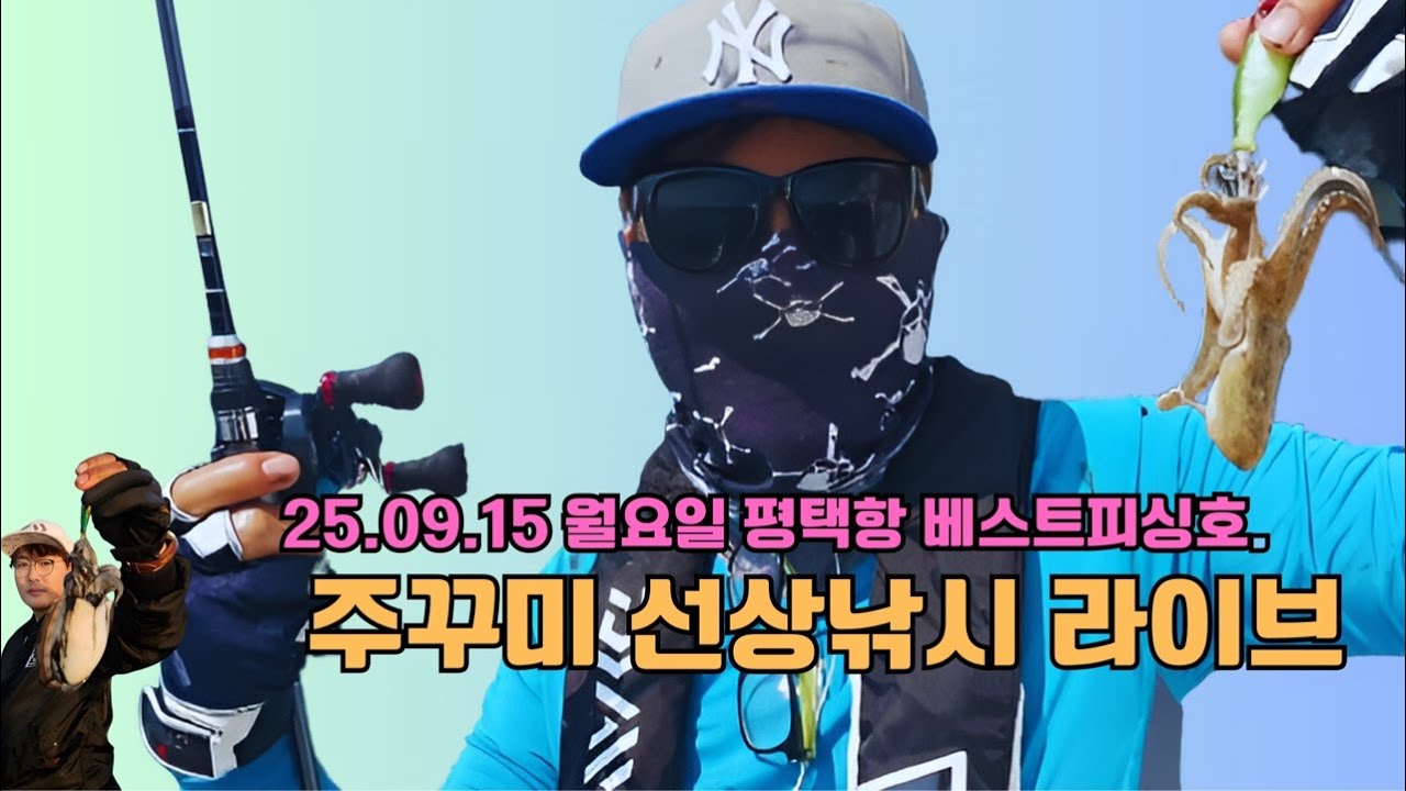 #평택#주꾸미#선상낚시#라이브#베스트피싱호