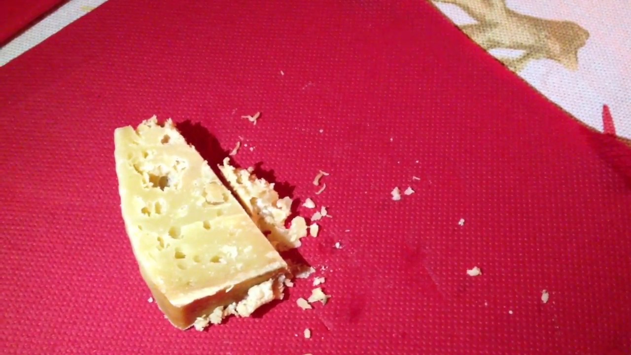 Сыр С Личинками Фото