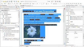 Webinar: Oxygen XML Editor 17 - DITA Support