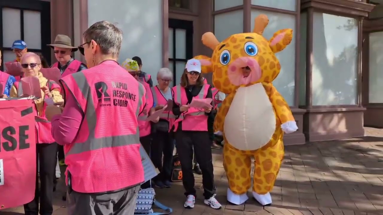 No kings day rally in washington, d. C.