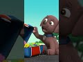 Zuma Burps From Having Too Much Pup Treat Paw Patrol 