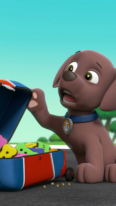 PAW PATROL ZUMA – All Elffed Up!