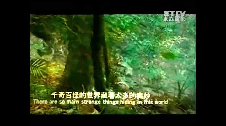 新十二生肖-千奇百怪的世界_加长版 - 天天要闻