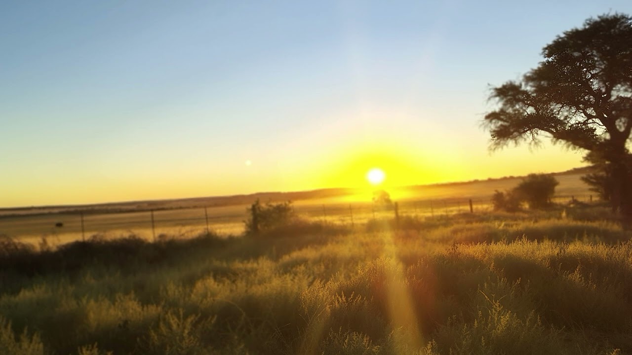 Lofi para estudiar y concentrarse | Pampa Golden Horizon 🌅 SESSION 2