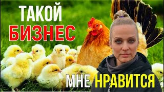 Продаём цыплят. Растим рассаду. Доделываем ремонт.