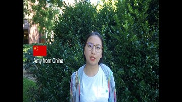 Why become an exchange student?