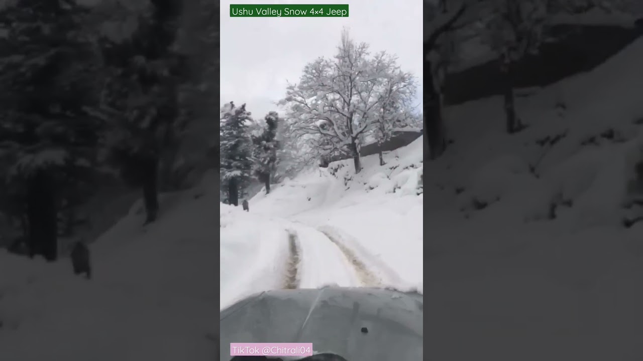 Traveling to Kalam From Ushu Valley In 4×4 Jeep 