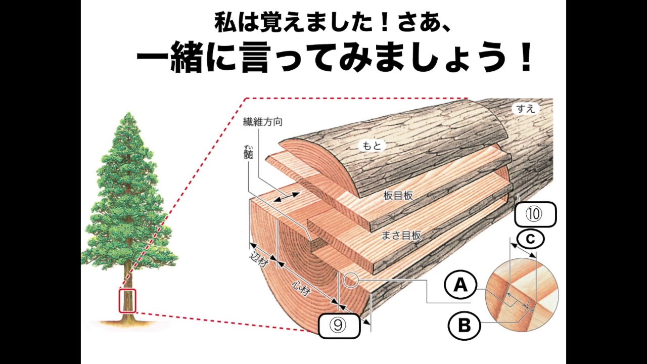 木材の特徴 Youtube