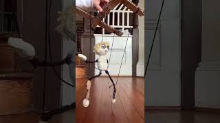 Coralline marionette puppet! #marionettes