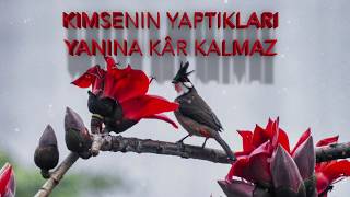 Kimsenin Yaptıkları Yanına Kâr Kalmaz Sesli