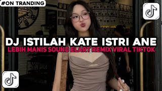 DJ ISTILAH KATE ISTRI ANE LEBIH MANIS |DJ ANE HABIB JINDAN VIRAL TIKTOK TERBARU 2025 !