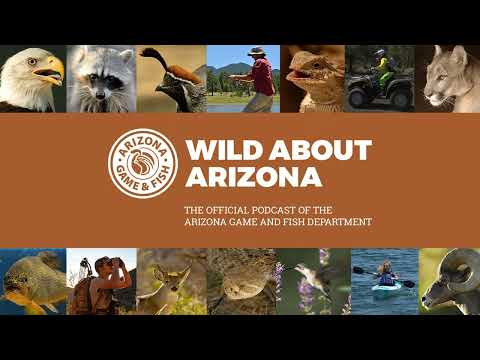 Arizona E-Tag Mobile Hunting App