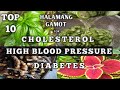 Top 10 halamang gamot for high blood pressure diabetes and cholesterol  homefoodgarden  naturer